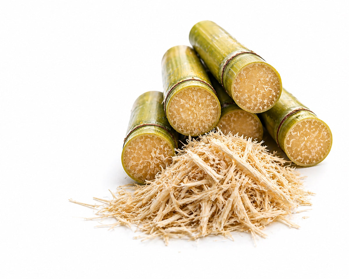 Sugarcane fibre as a moisture reservoir.
